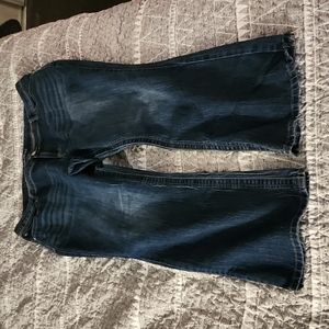 Maurices Jeans size 22